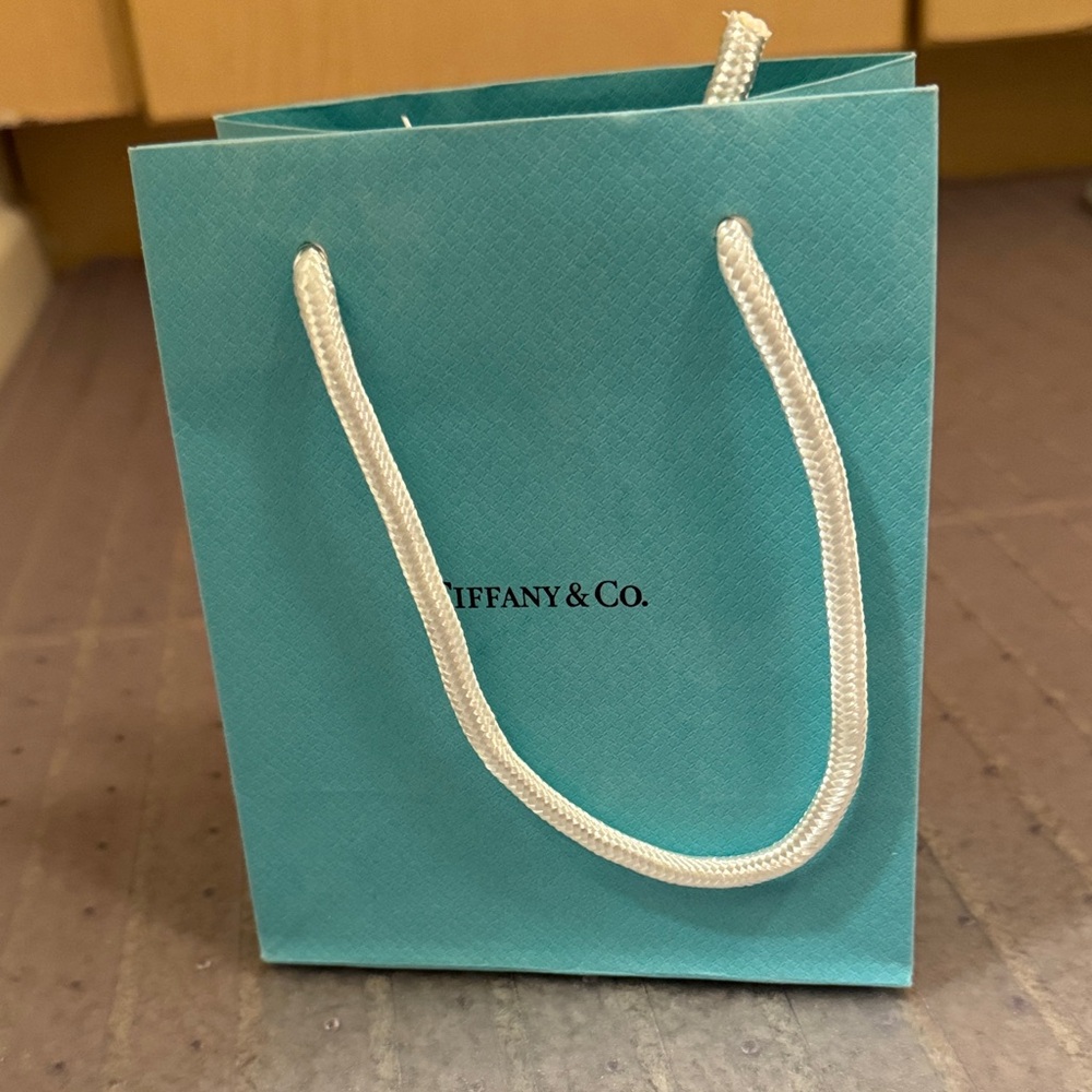 Tiffany & Co. Turquoise Bag with White Handles- small